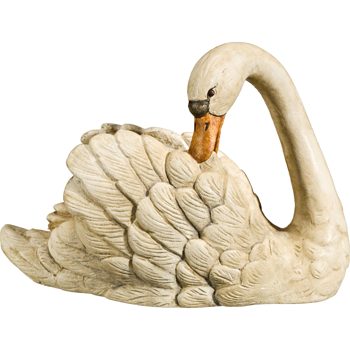 Cisne cabeza hacia atrás